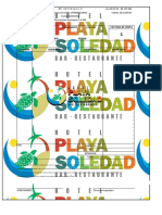 Factura Papel Promotora Playa Soledad.