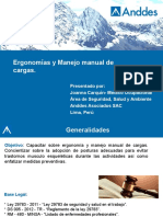 Ergonomia y Manejo Manual de Cargas - Mantenimiento