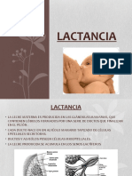 LACTANCIA