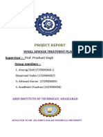 Project Report: Small Sewage Treatment Plant
