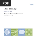 IBM SANBasics