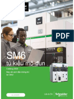 Catalogue SM6 VNese Version 2020