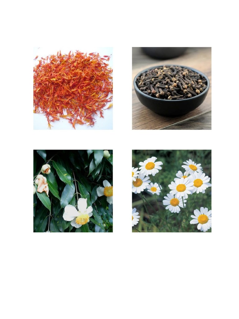 Kusuma | PDF