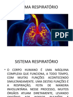 Sistema Respiratório