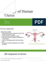 Biology of Uterus