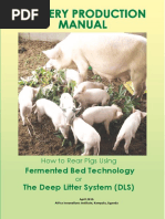 Pig Farming Layout and Planning Guide | PDF | Livestock | Domestic Pig
