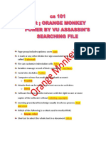 Cs101 (Orange Monkey) Grand File 2021
