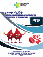 Pedoman Kemenkes Penanggulangan Anemia