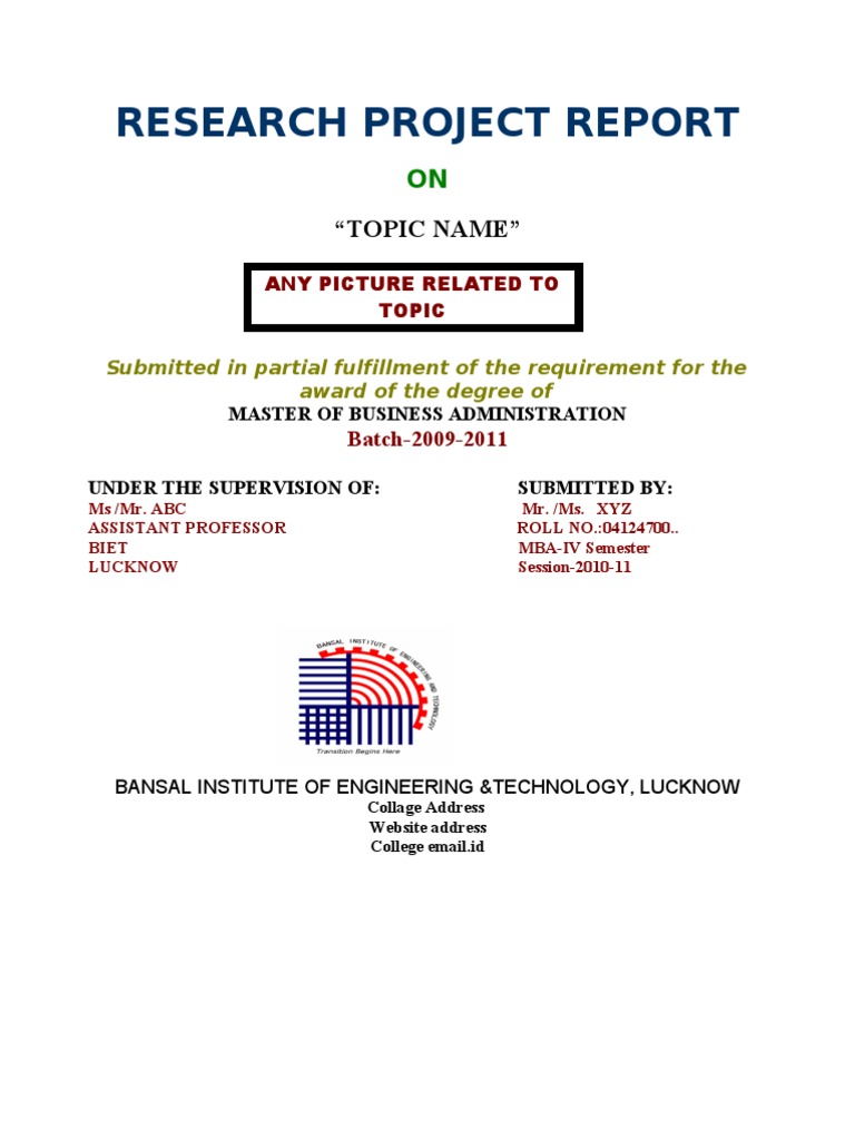 MBA Research Project Report | PDF
