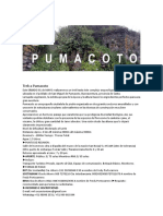 Trek A Pumacoto