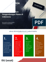 Prof. Budi Santoso - Mengurai Problem Pengembangan Rawa Di Indonesia