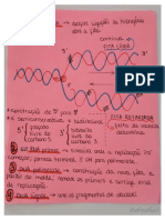 2f8a8e6fa80a0f24c2cc28af56a00cd4-convertido