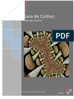 Guia de Cultivo-1