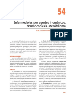 54 Neumoconiosis Neumologia 3 Ed