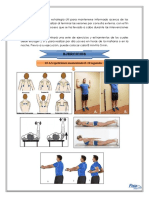 Plan Casero Dorsal-Escapula