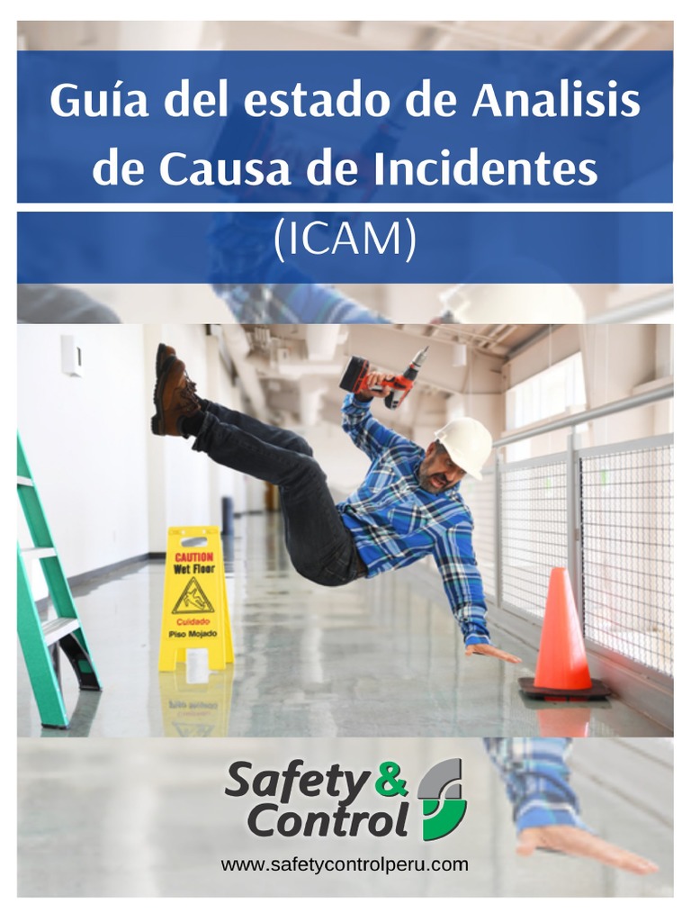 Manual ICAM | PDF | Planificación | Información