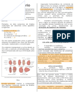 Sistema Urináriodocx - 210512 - 094518