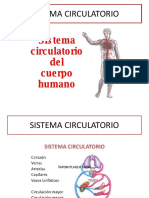 Sistema Circulatorio - Materia Fisiología