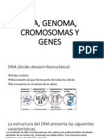 Genes y Cromosomas