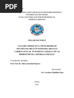 Teza de Doctorat - Vente Bianca-Simona-semnat | PDF