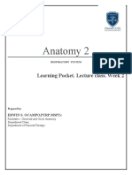 Anatomy 2: Learning Pocket. Lecture Class. Week 2
