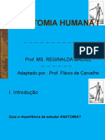 Aula 1 Anatomia Fisiotepia 2018