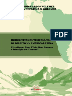 E-Book - Horizontesconst. Direito America Latina.