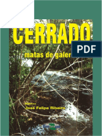 CERRADO Matas de Galeria