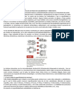 Cuestionario y Diagrama Lectinas.