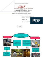 Criminalística de campo y escena del crimen