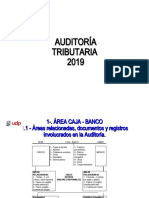 Auditoría tributaria 2019: Área caja-banco