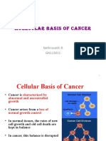 Molecular Basis of Cancer: Nethravathi R GN113011