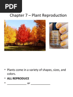 Fertilisation - Seed Formation and Dispersal | PDF | Fertilisation ...