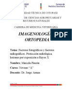 Analisis de Fracturas Luxaciones