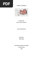 CUMBIA COLOMBIANA - Maria Camila Teran Oñate 1-04-2020