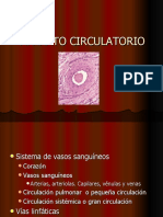 aparato circulatorio histologa