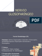 glosofaringeo