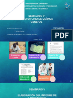 Seminario Elaboración de Informe PDF