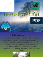 deforestacion