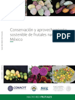 Conservaci n y Aprovechamiento Sostenible de Frutales Nativos de M Xico