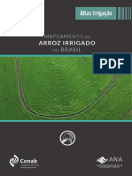 2020 Mapeamento Arroz Irrigado Brasil ANA Conab