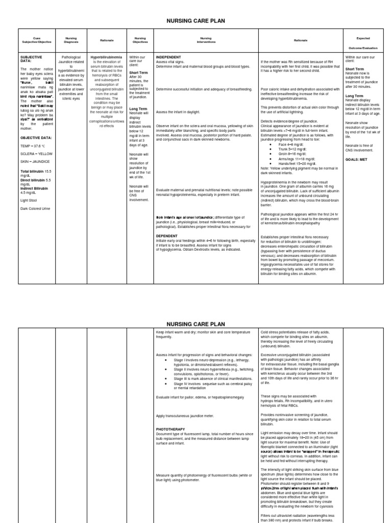 Nursing Care Plan for Neonatal Jaundice | PDF | Breastfeeding | Infants