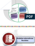 JOE - MODELOS EDUCATIVOS FLEXIBLES - Estrategia Educativa Con Calidad para Poblaciones Diversas y en Condición Vulnerabilidad.