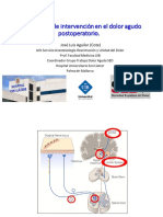 JL-Aguilar-Posibilidades de Intervención en El Dolor Agudo Postoperatorio. Madrid Oct 2017