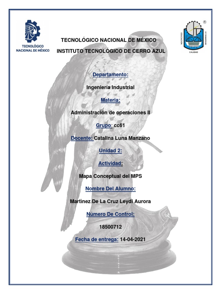 Mapa Conceptual MPS - Martinez de La Cruz Leydi Aurora | PDF ...