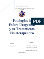 Patologías Del Sistema Urogenital - Prof. Marino Placeres PDF