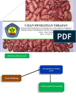 Seminar Hasil