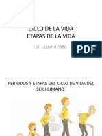 Periodos Del Ciclo de Vida