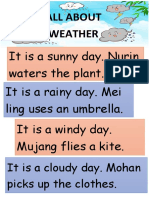 All About Weather: It Is A Sunny Day. Nurin Waters The Plant