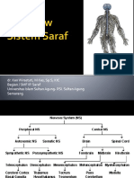 Overview Sistem Saraf